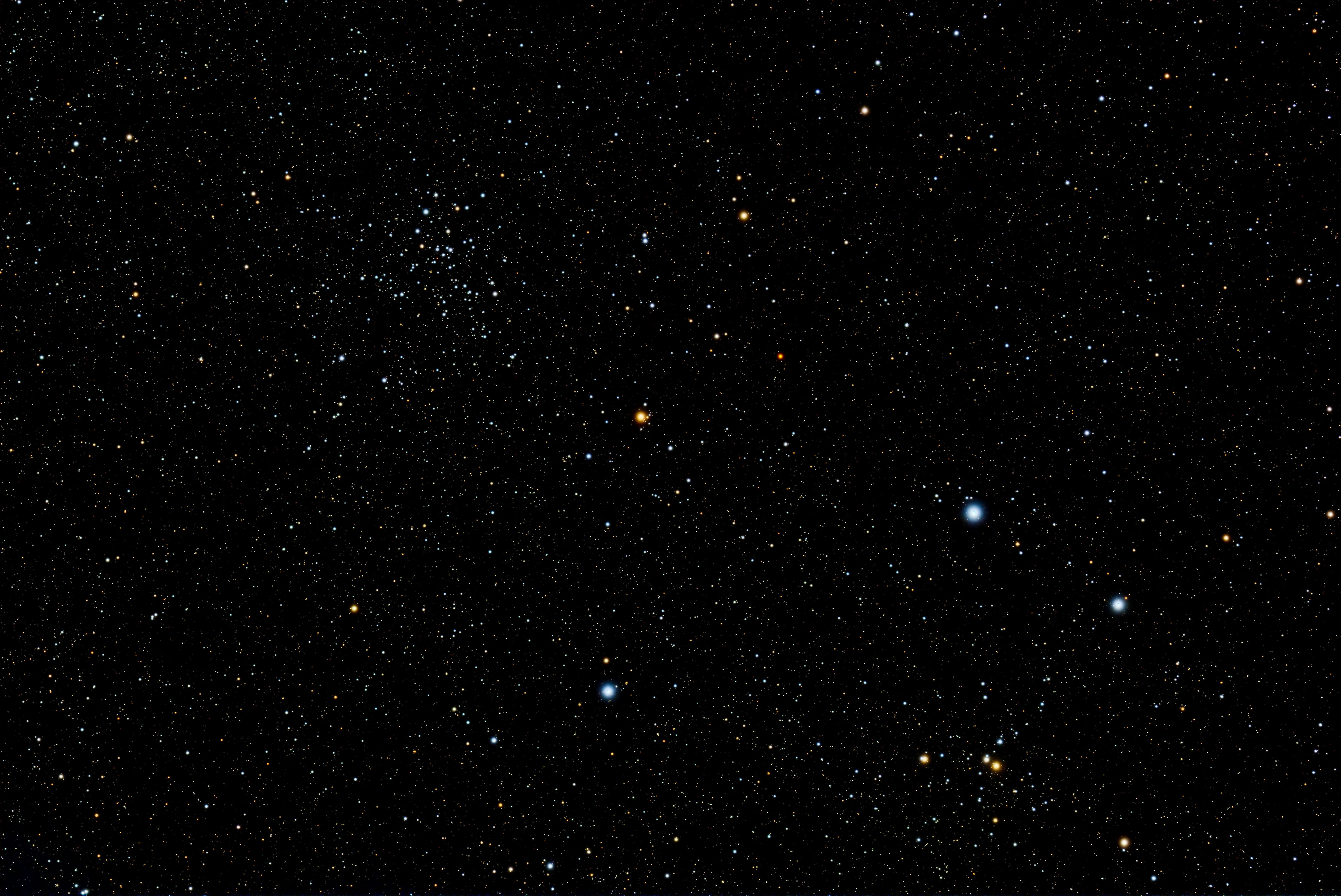 The Clicki Edge: Modernizing Referral Programs for Businesses Despite CRM Add-Ons